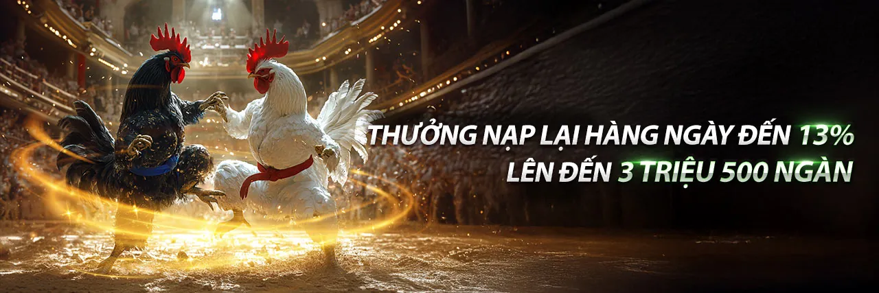 Hình ảnh chính về Chơi Có Trách Nhiệm tại U888 Uy Tín